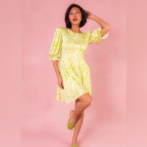 NWT Ivy City Lita dress